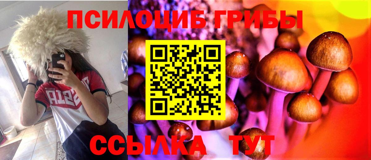 Галлюциногенные грибы Psilocybine cubensis Ливны