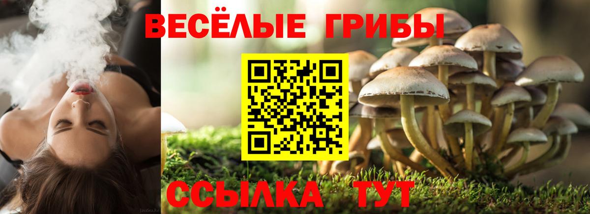 Псилоцибиновые грибы MAGIC MUSHROOMS  купить закладку  Ливны  Вход с VPN 
